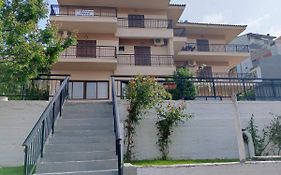 Papas Studios